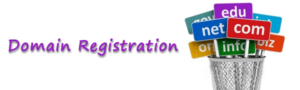 Domain Website Registration Hosting